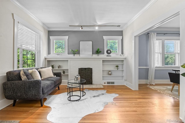 864 Garfield St, Denver, CO 80206 - living room with plenty of natural light, rail lighting, light wood-type flooring, and ornamental molding