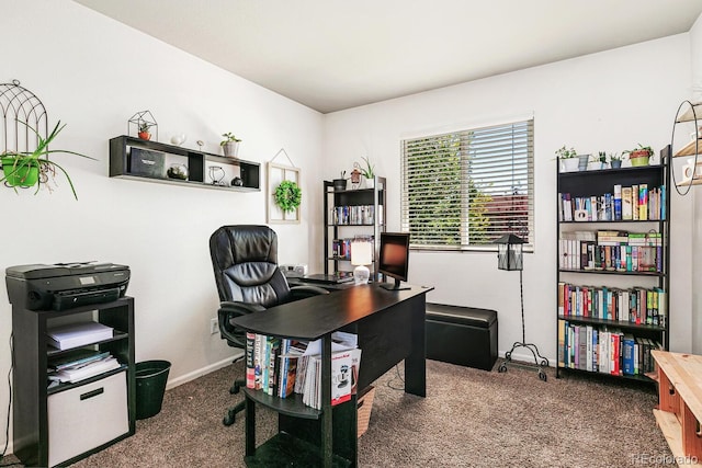 office with carpet flooring