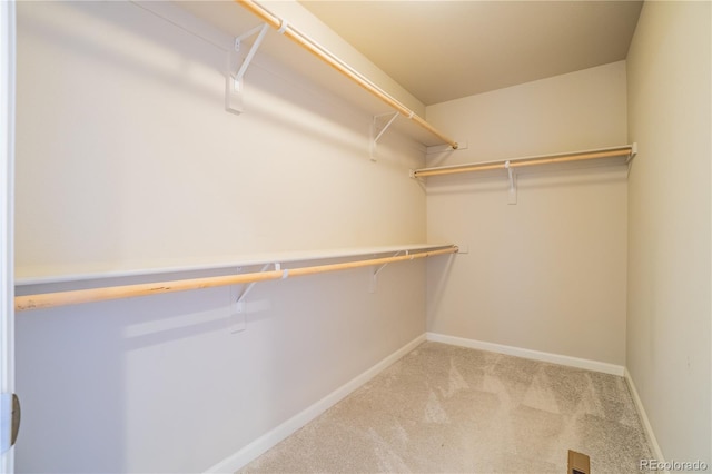 walk in closet featuring light colored carpet