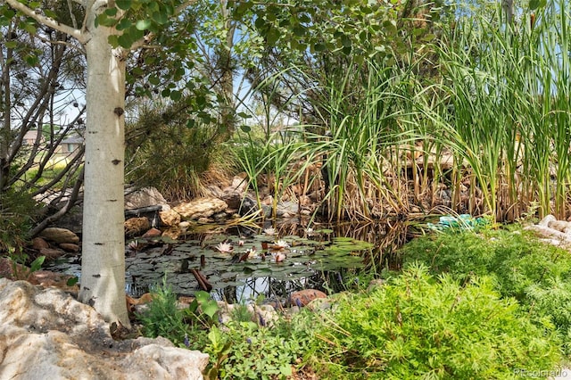 14870 Mariposa Ct, Westminster, CO 80023 - photo 41
