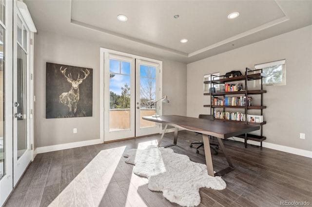 office space featuring a tray ceiling, dark hardwood / wood-style floors, and french doors