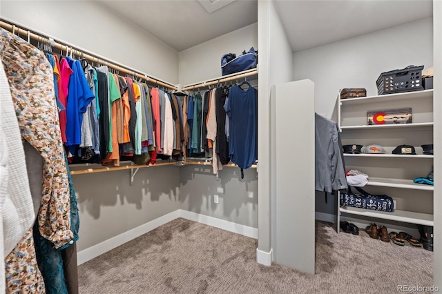 spacious closet with carpet