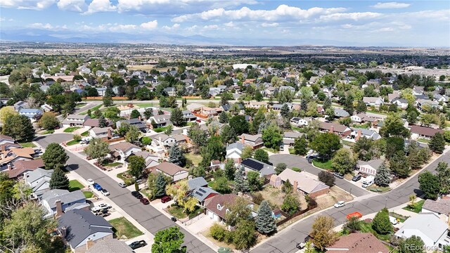 bird's eye view