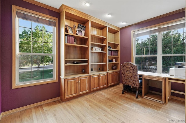 5683 Fig Way, Arvada, CO 80002 - home office featuring light wood-style floors, plenty of natural light, baseboards, a textured wall, and crown molding