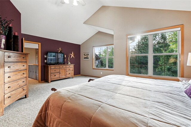5683 Fig Way, Arvada, CO 80002 - bedroom with lofted ceiling and carpet floors