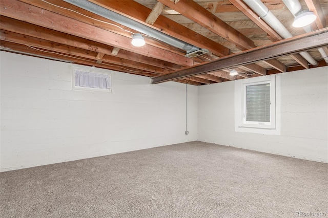 finished basement with carpet