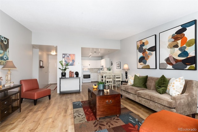 living area with light wood-type flooring and rail lighting