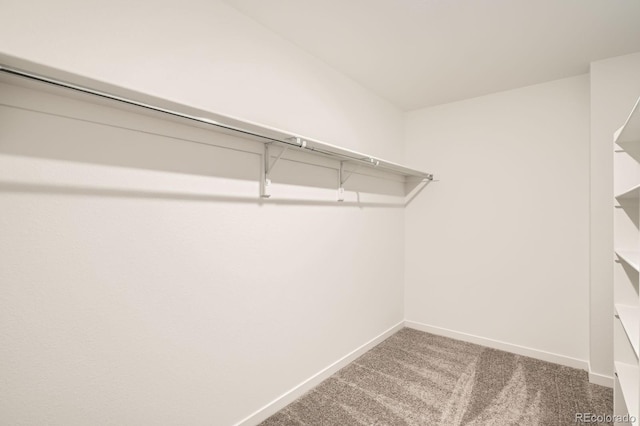 15254 Milwaukee St, Thornton, CO 80602 - photo 8