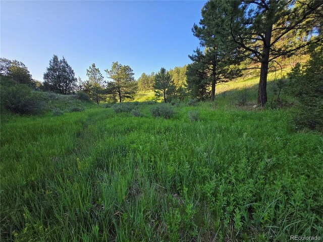 14514 Reserve Rd, Pine, CO 80470 - photo 4