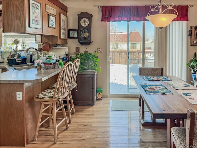 interior space featuring hanging light fixtures, sink, and light hardwood / wood-style flooring