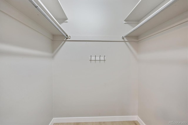 spacious closet featuring light hardwood / wood-style floors