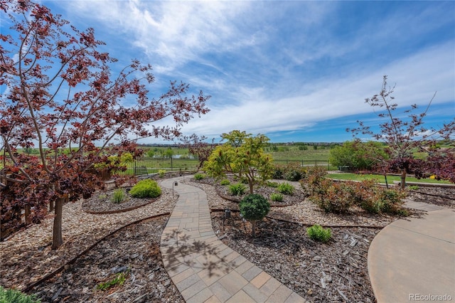 26741 E Arbor Dr, Aurora, CO 80016 - view of yard