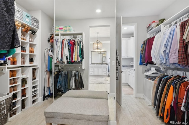 spacious closet with light wood-type flooring