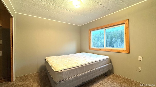 bedroom featuring carpet