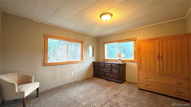 bedroom featuring carpet