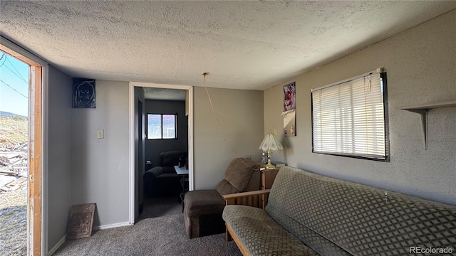 sitting room with carpet floors and a textured ceiling
