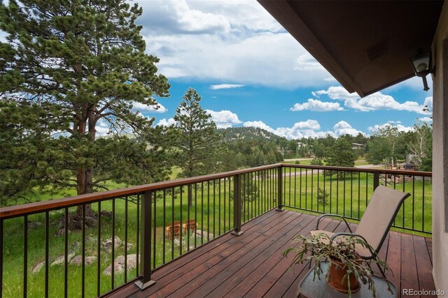 23843 Shooting Star Ln, Golden, CO 80401 - photo 18
