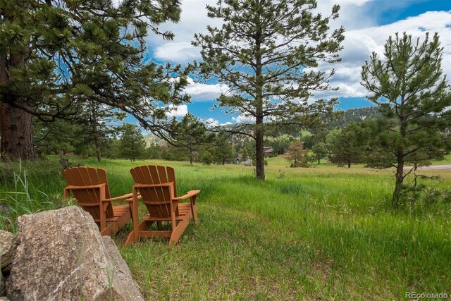 23843 Shooting Star Ln, Golden, CO 80401 - photo 35