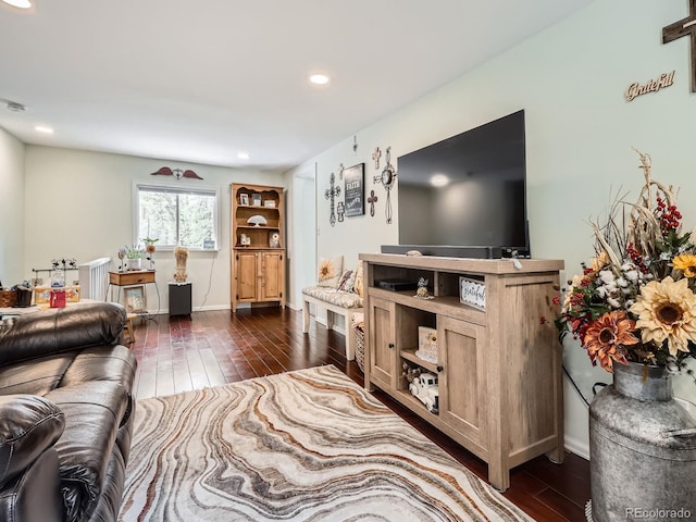6837 S Brook Forest Rd, Evergreen, CO 80439 - living area featuring dark wood-type flooring, recessed lighting, and baseboards