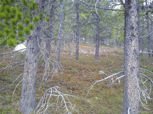 LOT417 Glory Hole Rd, Idaho Springs, CO 80452