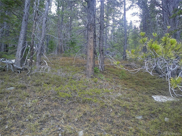 LOT417 Glory Hole Rd, Idaho Springs, CO 80452
