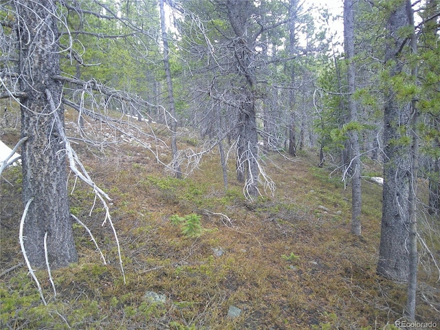 LOT417 Glory Hole Rd, Idaho Springs, CO 80452