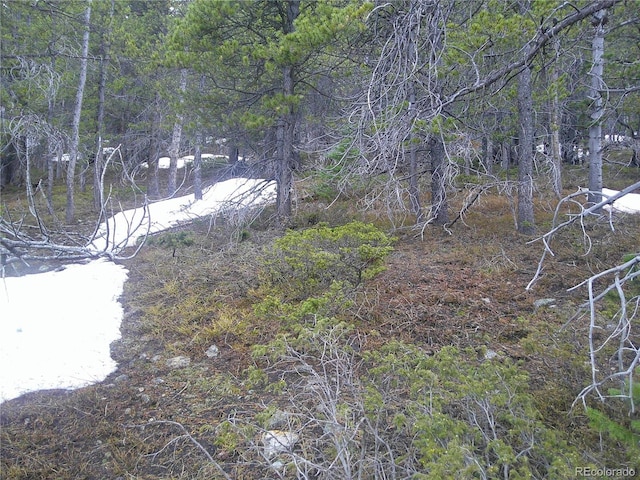 LOT417 Glory Hole Rd, Idaho Springs, CO 80452