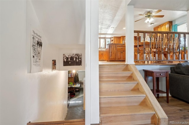 stairway with wood finished floors, a wealth of natural light, and a ceiling fan