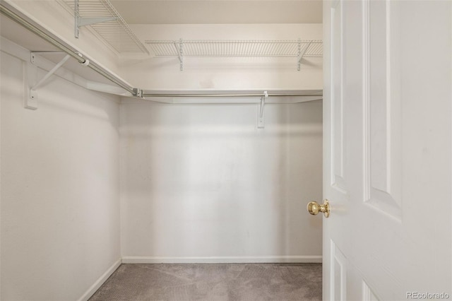 spacious closet with carpet floors