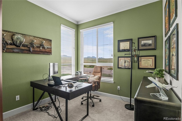 carpeted office space featuring crown molding, baseboards, and a wealth of natural light