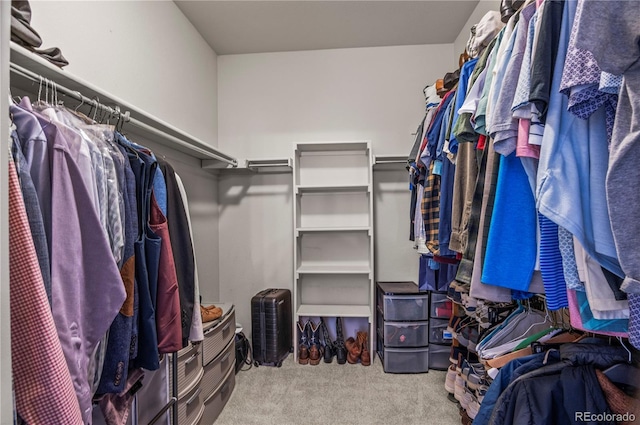 walk in closet featuring carpet floors