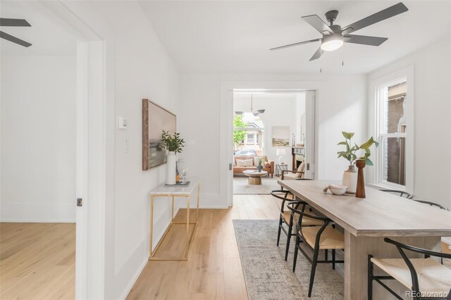 230 E Ellsworth Ave, Denver, CO 80209 - dining space with a ceiling fan, light wood-type flooring, and baseboards