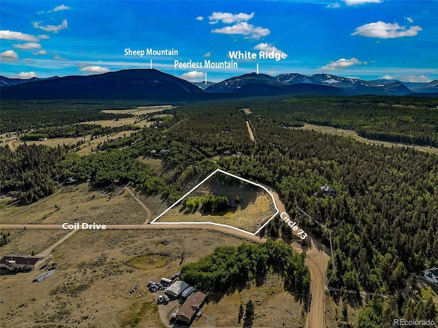 Coil Dr, Fairplay, CO 80440