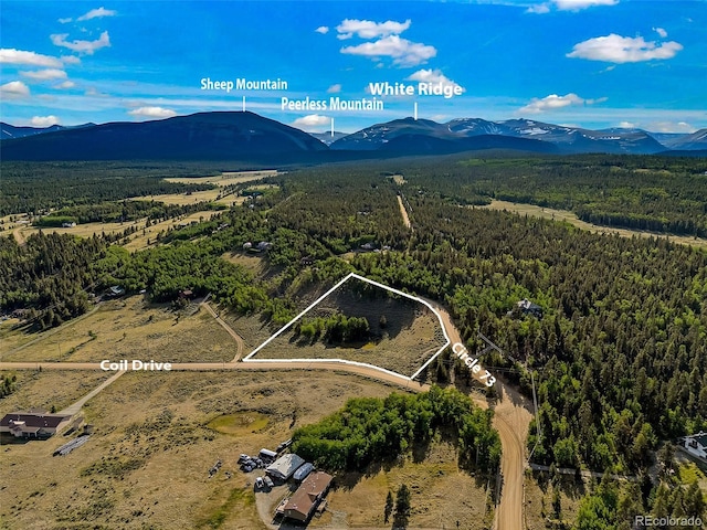 Coil Dr, Fairplay, CO 80440