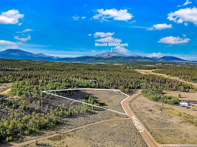 Coil Dr, Fairplay, CO 80440