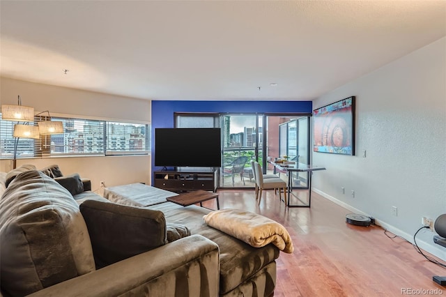 living room with hardwood / wood-style floors