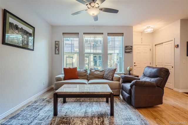 living area with ceiling fan and light hardwood / wood-style flooring