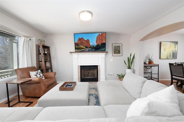 1501 Coolcrest Dr, Colorado Springs, CO 80906 - living room featuring crown molding, a glass covered fireplace, wood finished floors, baseboards, and arched walkways
