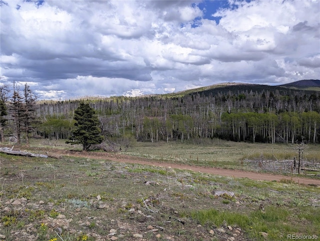 2415 Petito Dr, Fort Garland, CO 81133
