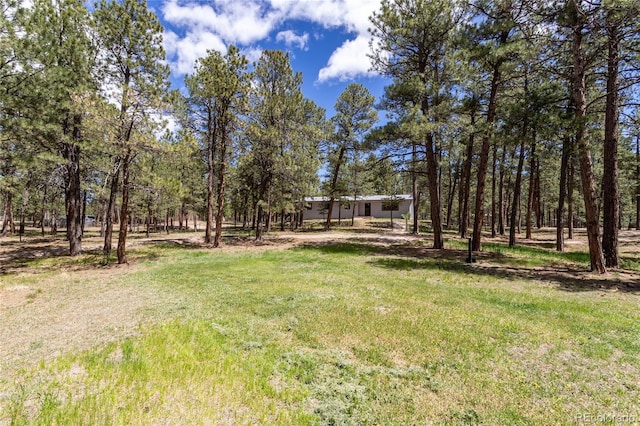 12375 Mount Shasta Dr, Elbert, CO 80106 - photo 4