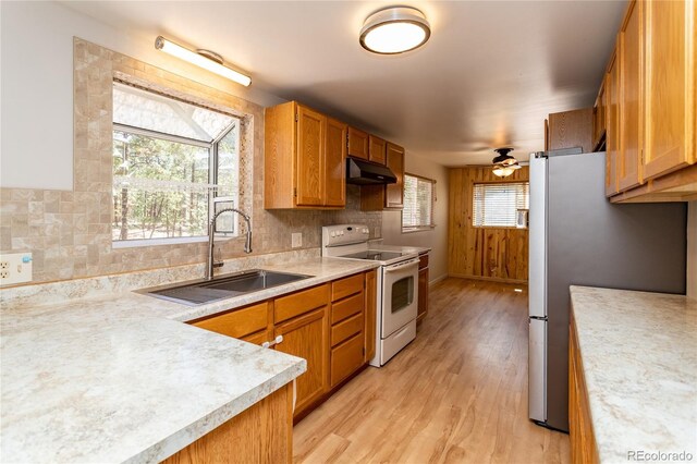 12375 Mount Shasta Dr, Elbert, CO 80106 - photo 11