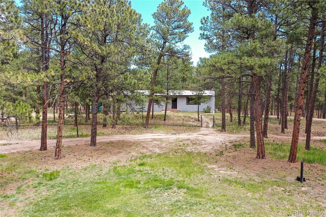 12375 Mount Shasta Dr, Elbert, CO 80106 - photo 28