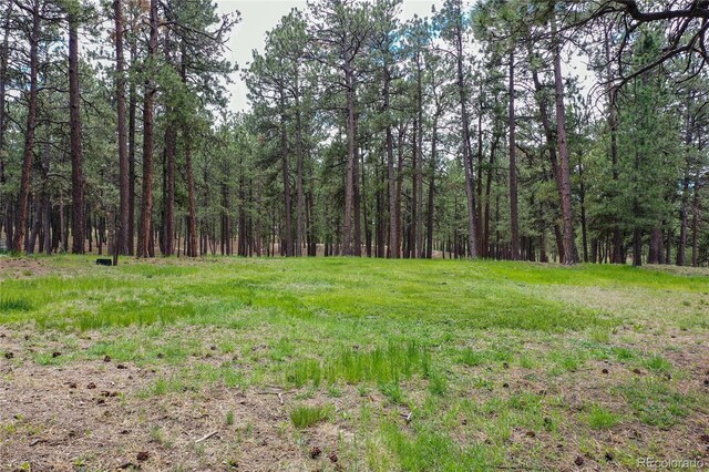 12375 Mount Shasta Dr, Elbert, CO 80106 - photo 29