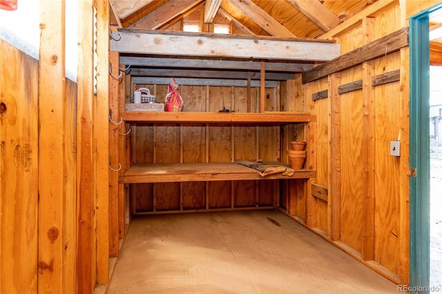 12375 Mount Shasta Dr, Elbert, CO 80106 - photo 36
