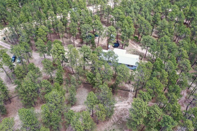 12375 Mount Shasta Dr, Elbert, CO 80106 - photo 38