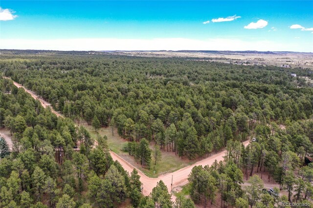 12375 Mount Shasta Dr, Elbert, CO 80106 - photo 40