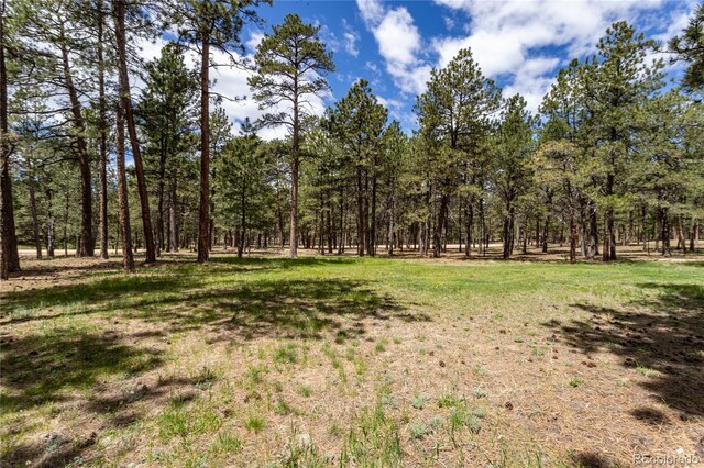 12375 Mount Shasta Dr, Elbert, CO 80106 - photo 45