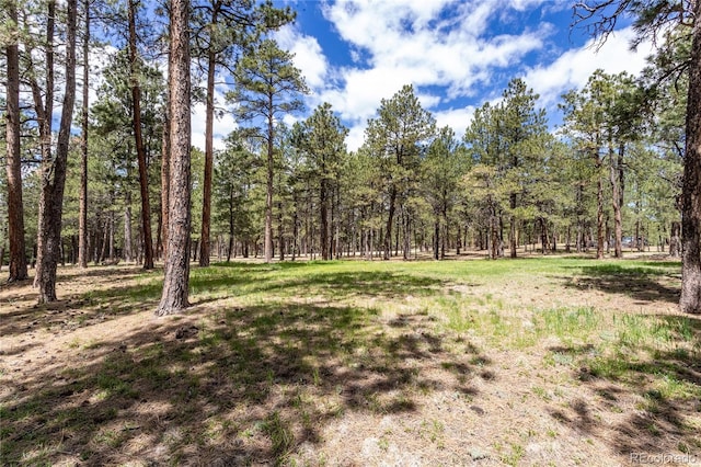 12375 Mount Shasta Dr, Elbert, CO 80106 - photo 46