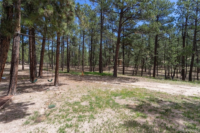 12375 Mount Shasta Dr, Elbert, CO 80106 - photo 49