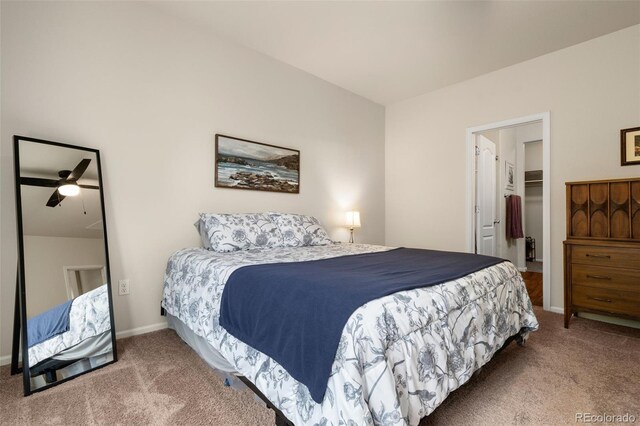 1836 Taos St, Brighton, CO 80603 - carpeted bedroom featuring a walk in closet, baseboards, and a closet